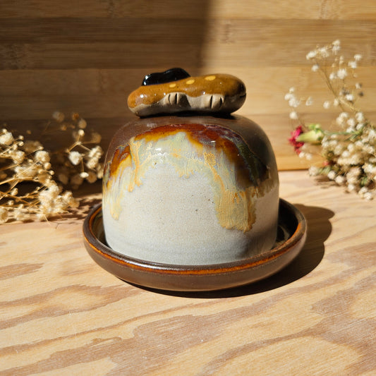 Clodsire • Butter Dish