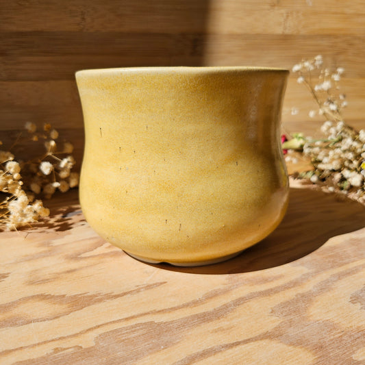 Goose • Plant Pot