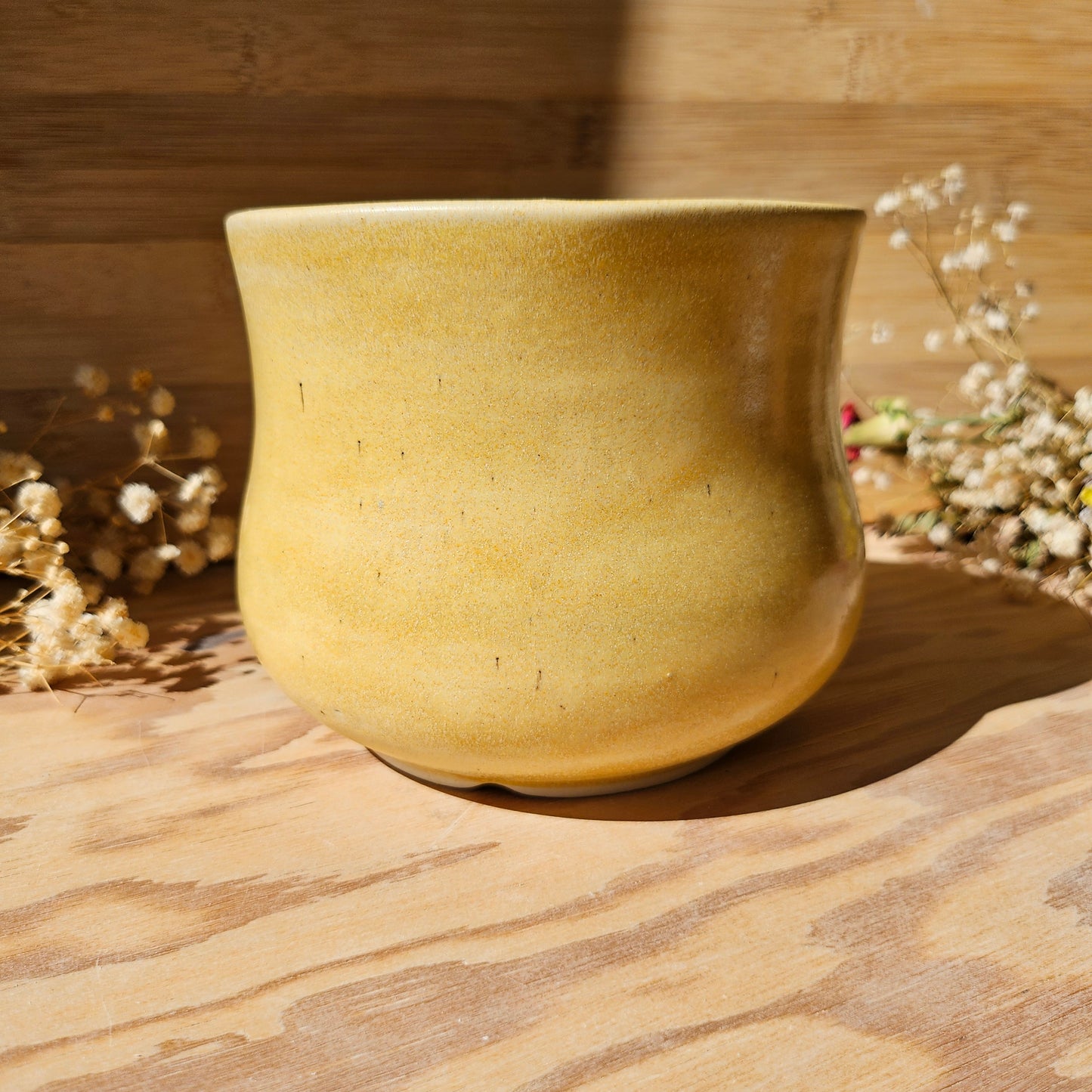Goose • Plant Pot
